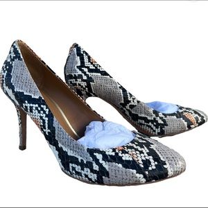 Coach Nala Graphic Snake #34A4838-ORW Size 8M